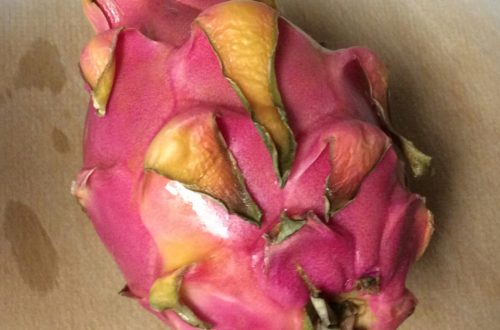 Dragon Fruit