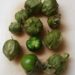 These are the tomatillos that were in the bag.