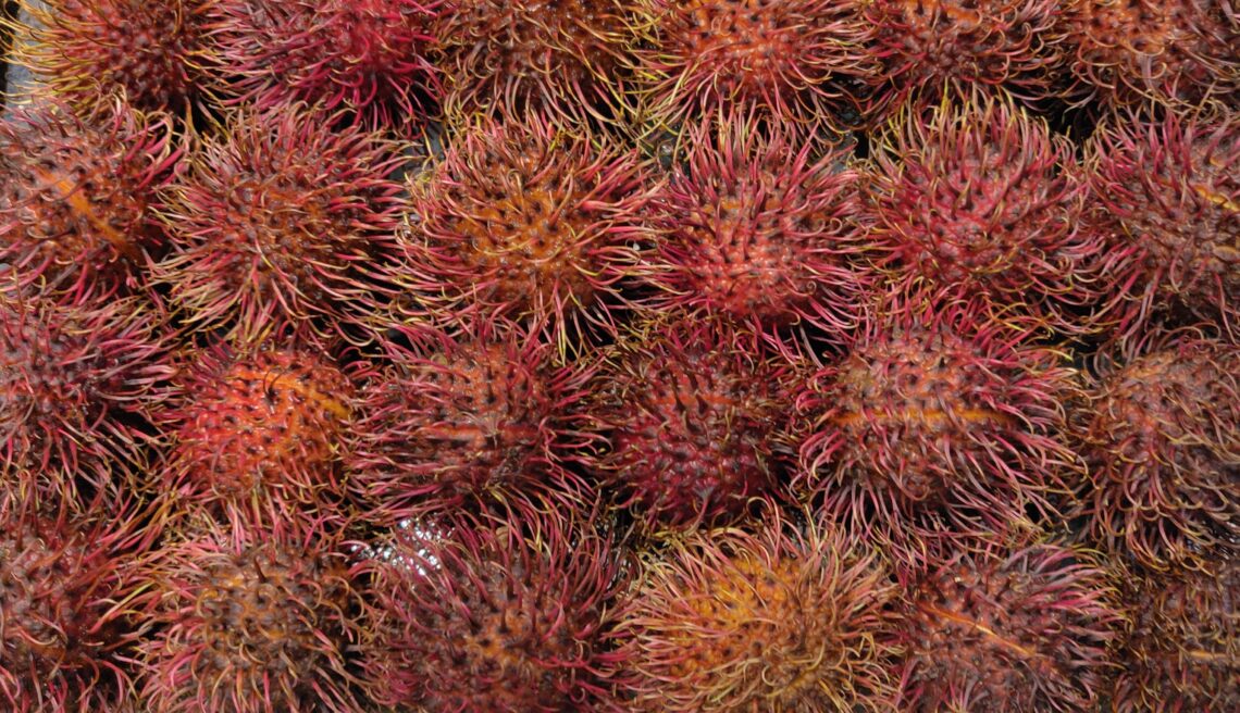 RAMBUTANS