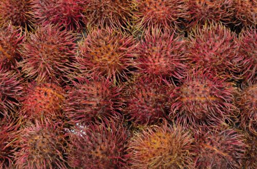 RAMBUTANS