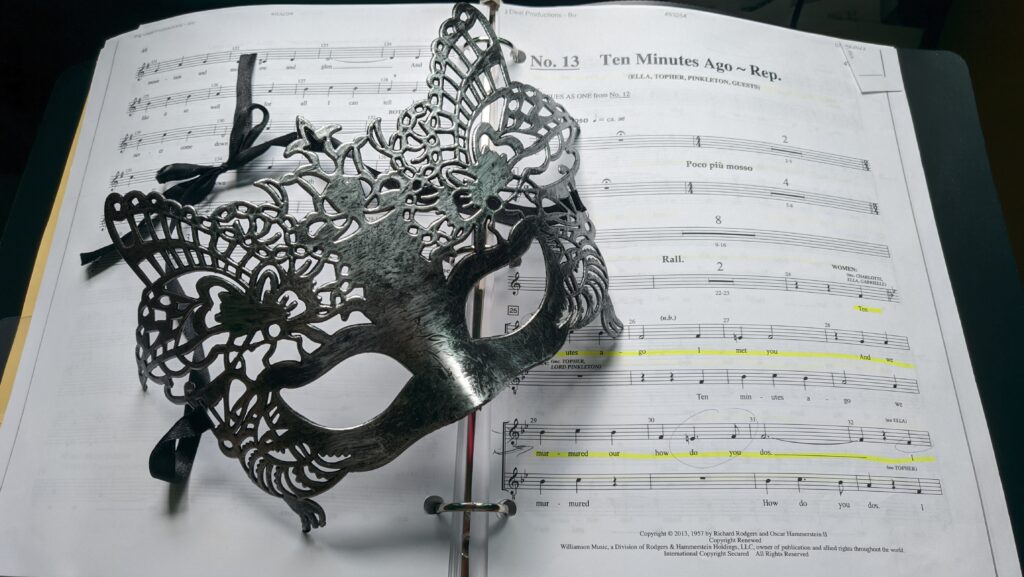 My mask for the masquerade ball.  All of the performers had different masks.  I was able to find one that "sort of" worked over my glasses.  I do really like this one, too!