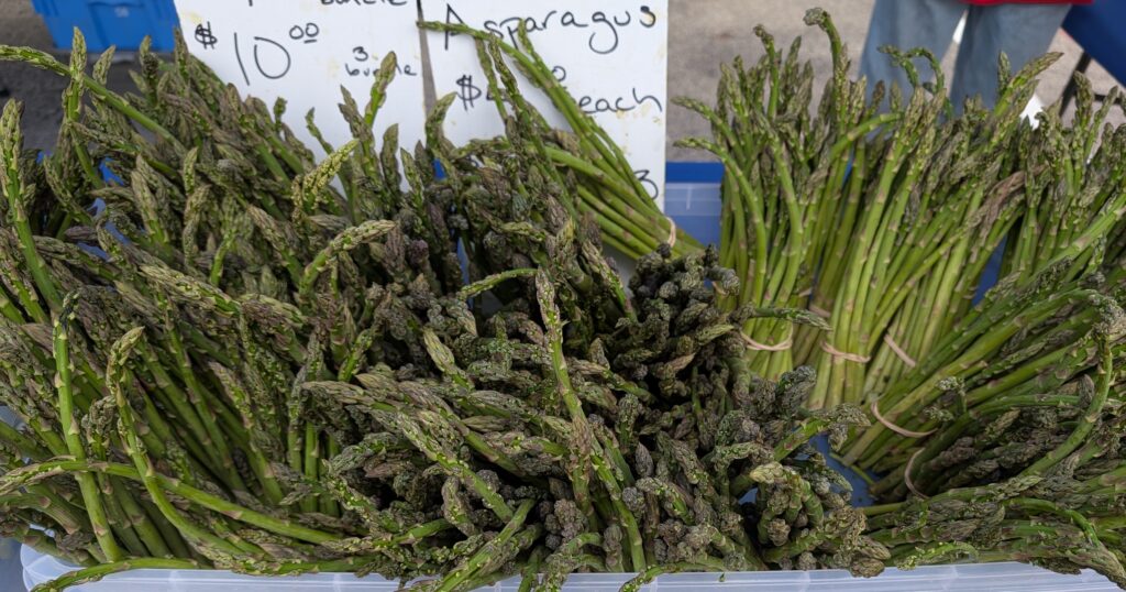 When I had time to casually wander and shop during the second week of my local farmers' market, I purchased some asparagus in addition to more kale.  I suppose I was in a green state of mind.