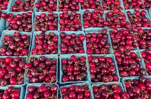 Cherries! So delicious!