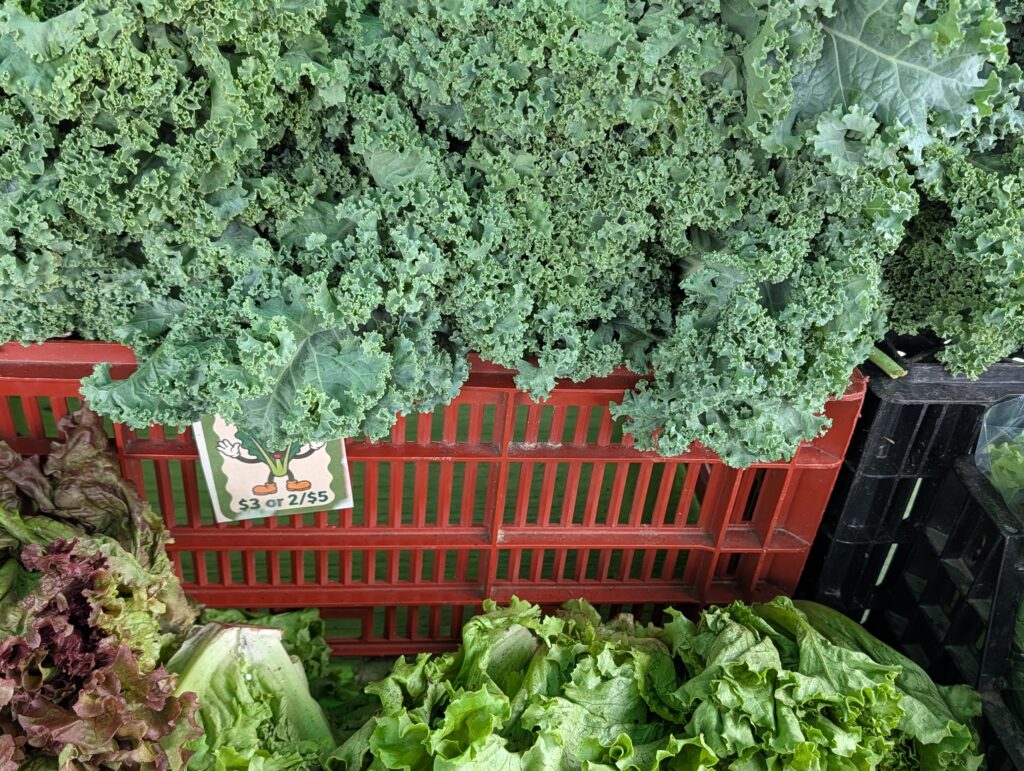 Kale--my first purchase of this farmers' market season.