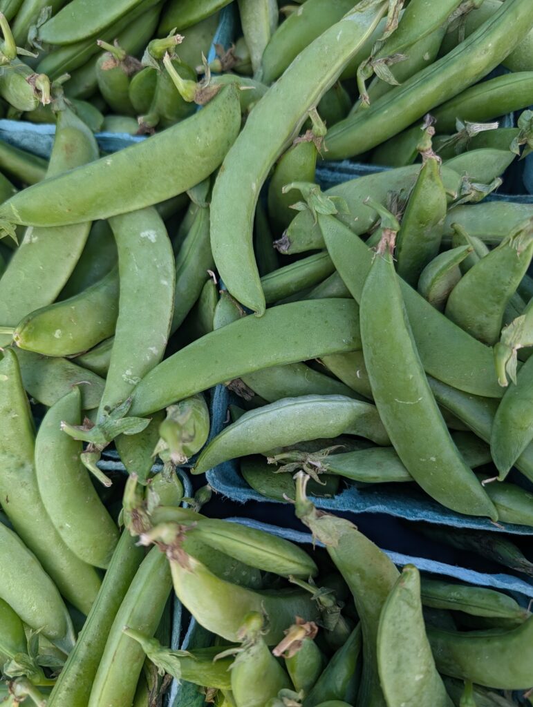 I am planning on purchasing some of these later this summer.  They are even tasty uncooked.
