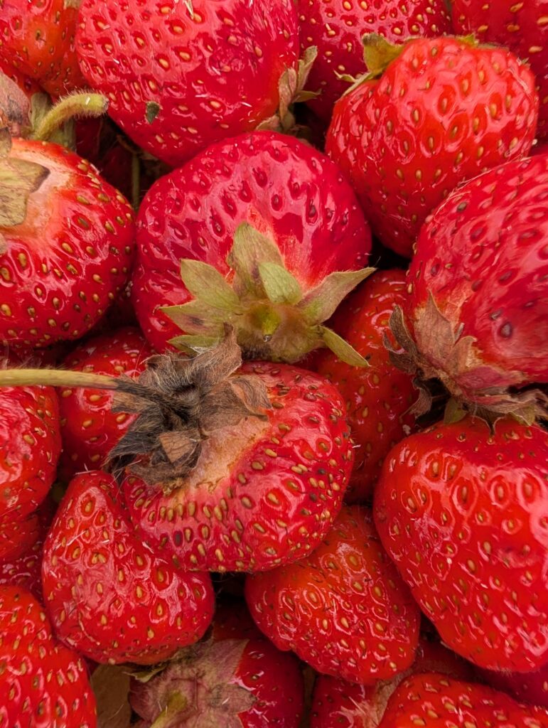 "Yum" is all I need to say with these berries.