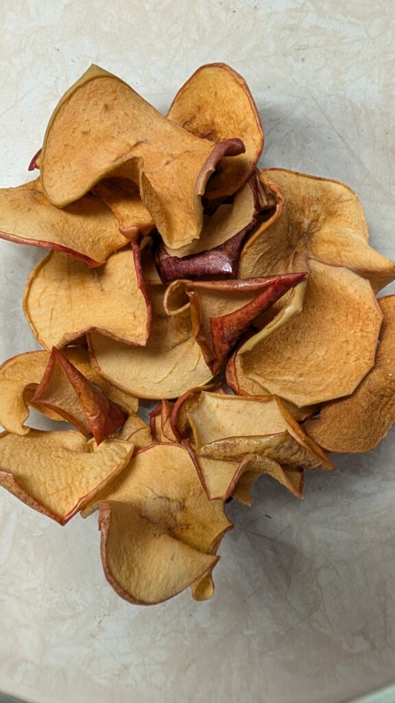 Delicious homemade apple chips using the dehydrator (and both the Gala and Zestar apples).