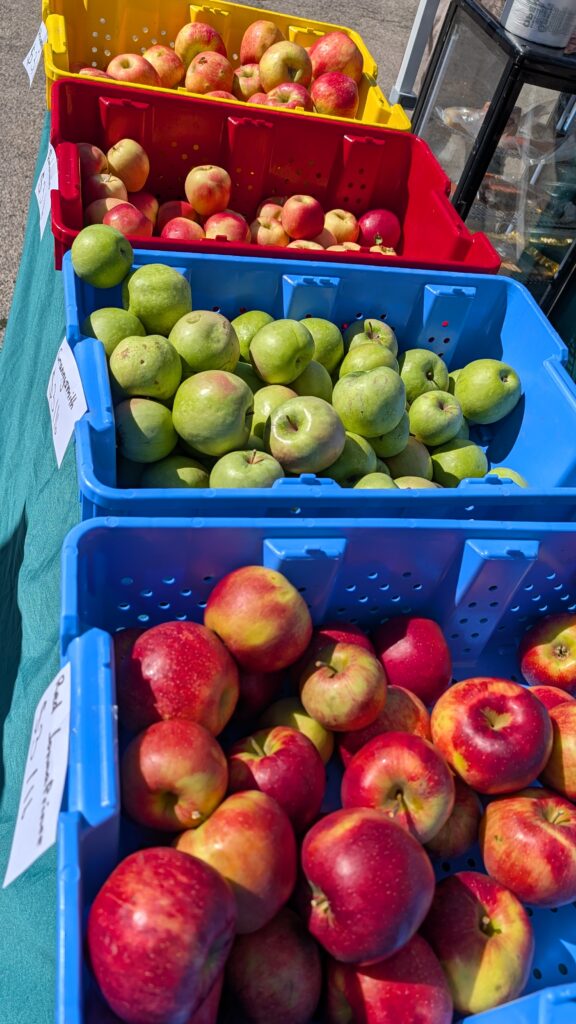 These were set out at my most recent trip to the farmers' market.My recent apple orchard acquisitions are currently in my kitchen with some baked into a homemade apple pie. : )