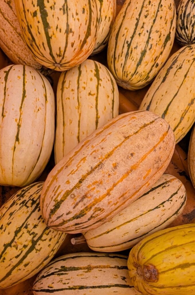 These delicata squash were delicious! They also did NOT need to be peeled! Bonus! They did have a lot of seeds to roast as well. These can certainly be part of a healthy Halloween season!
